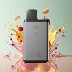 Adalya AD 10000 Puff Italia Ingrosso Sigaretta elettronica usa e getta Due Mele Grigio Spazio 14ml 2% USB-C