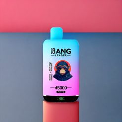 Bang Leader 45000 Puffs vape monouso Italia Ingrosso Mirtillo Lampone Pesca Mango Anguria con Schermo Intelligente, Porta Type-C e Design Dual Flavor 2-in-1