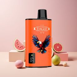 JNR EAGLE Smart 23000 Puff Italia Ingrosso Disposable Vape Anguria Bubblegum, Schermo Digitale, 750mAh, Tipo-C