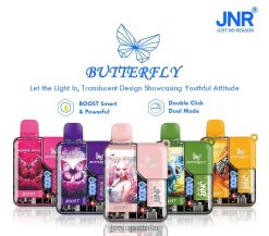 JNR Vape Flavours - jr farfalla gomma da masticare al mirtillo 4H28D60