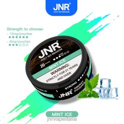 JNR Vape Italia - sacchetti energetici jnr ghiaccio alla menta 4H28D103