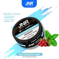 JNR Vape Nicotine - sacchetti energetici jnr menta verde invernale 4H28D106