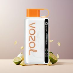 VOZOL STAR 9000/12000 Disposable Vape Limone Lime Italia Ingrosso con Ricarica 30% più Veloce, 650mAh, S.i.L.C TECH